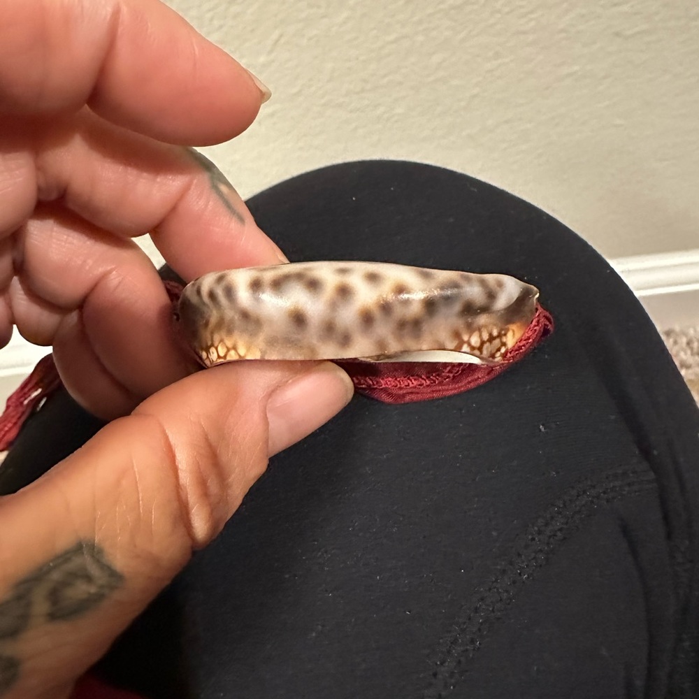 Shell choker necklace - Picture 2 of 2